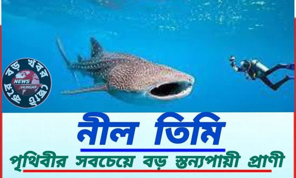 পৃথিবীর সবচেয়ে বড় স্তন্যপায়ী প্রাণী!