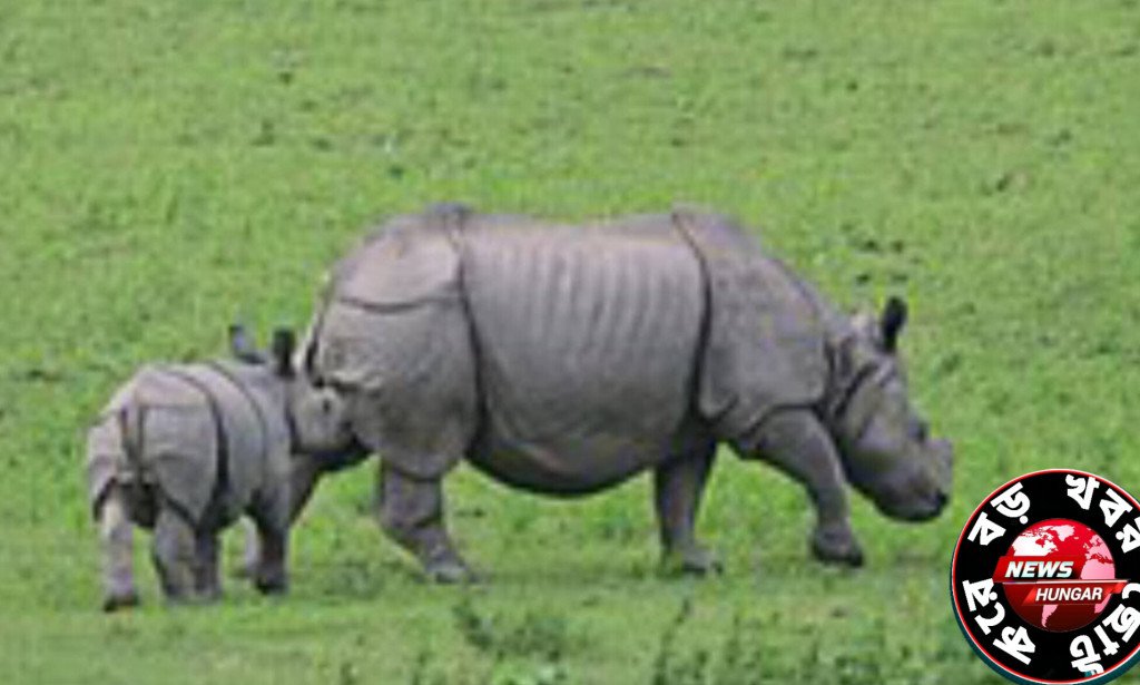 জানেন কি?