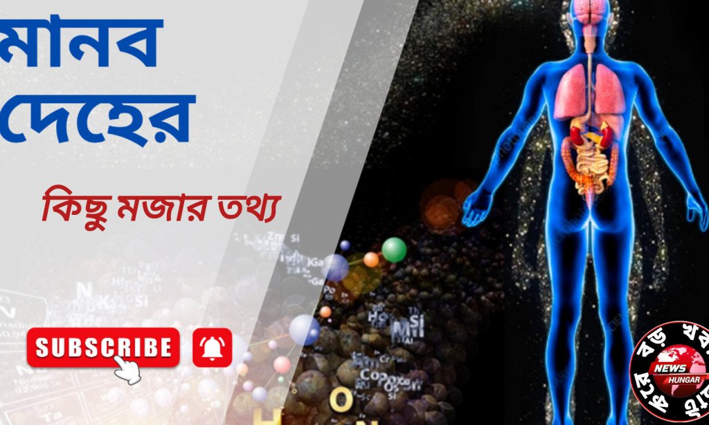 মানব দেহের কিছু মজার তথ্য