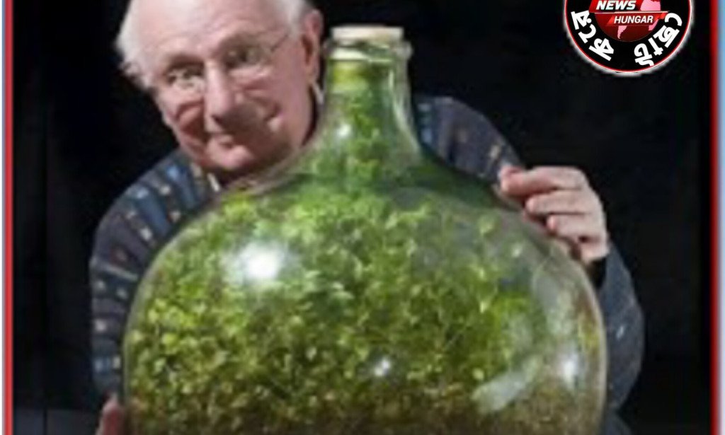 বাইরের জগতের কোন কিছুরই প্রয়োজন পড়ে না!