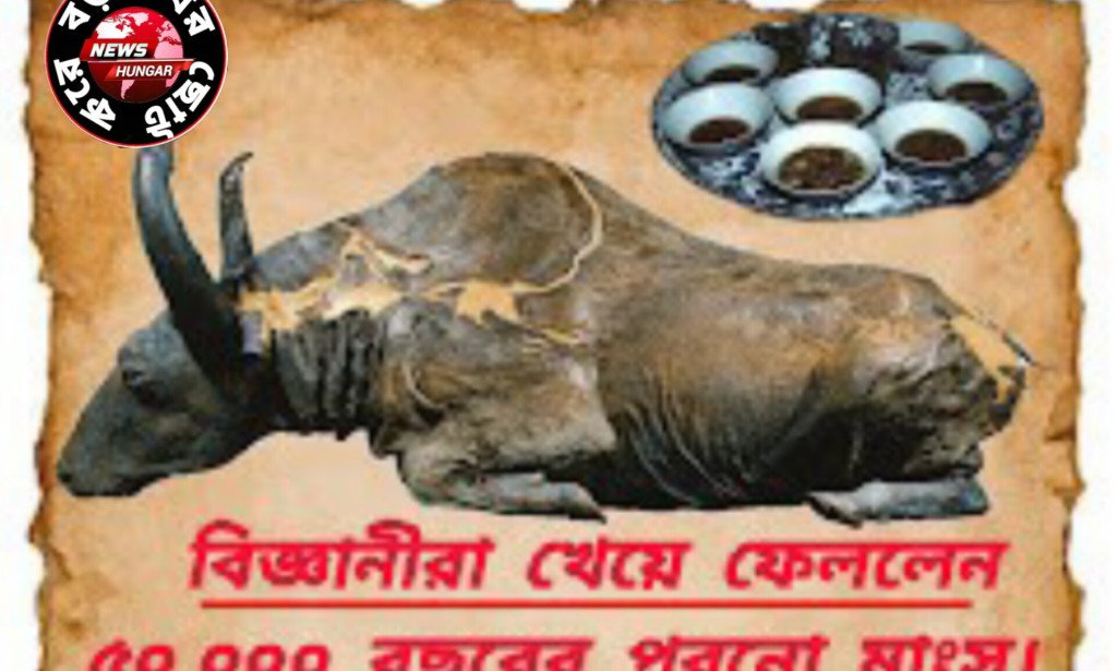 বিজ্ঞানীরা খেয়ে ফেললেন ৫০,০০০ বছরের পুরনো মাংস!