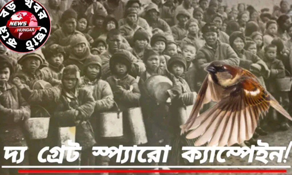 প্রায় ৩০ লক্ষ চড়ুই পাখি খুন করা হয়েছিl