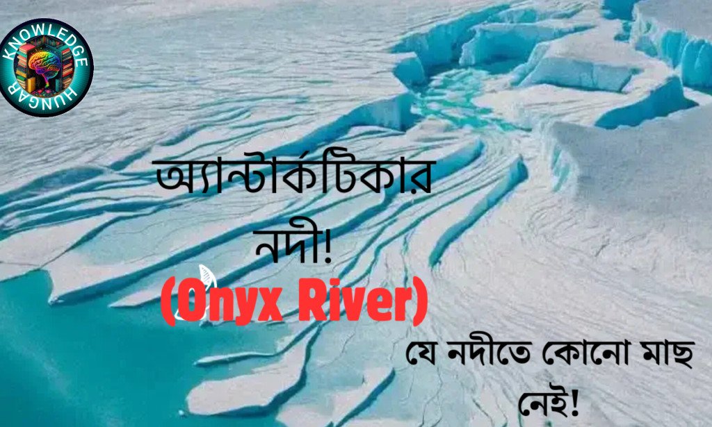 অ্যান্টার্কটিকার নদী(Onyx River),